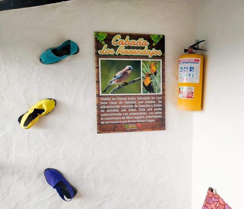 Cabanas Canon Del Chicamocha Аратока Экстерьер фото