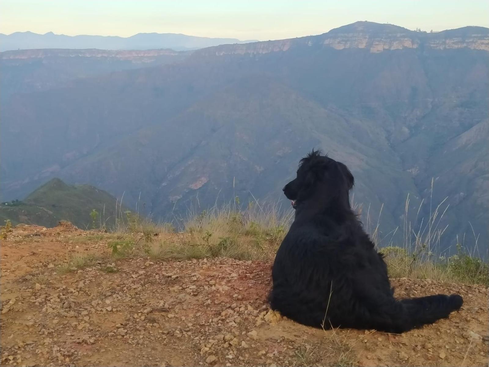 Cabanas Canon Del Chicamocha Аратока Экстерьер фото